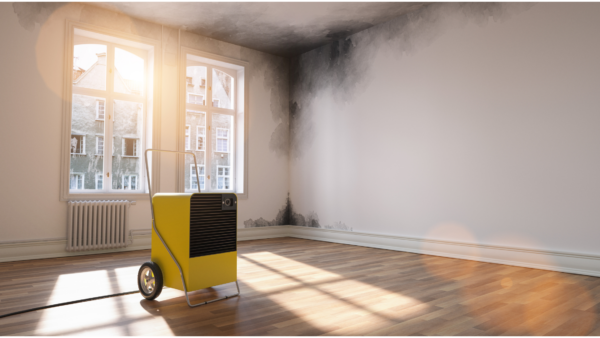 best way to prove that a tenant is smoking marijuana in violation of the lease