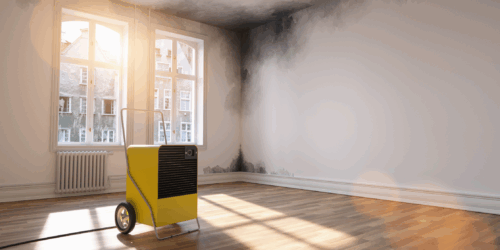 best way to prove that a tenant is smoking marijuana in violation of the lease